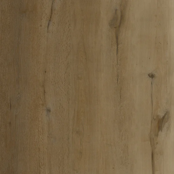 Wheat - Image 2